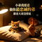 小弟以后我吃香你喝辣