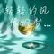 轻轻的风 像旧梦的声音（微醺）