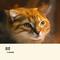 保镖