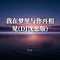 我在梦里与你再相见(DJ沈恋版)