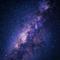 从此世间再无我们