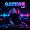 大头针 - 乌兰巴托的夜-DJ-RXM（牛哥 Remix）