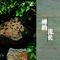 大悲咒响(流水古琴)