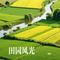 田园风光