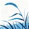 选艳红
