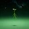 灵植开星域