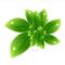 挖野菜