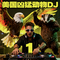 美国凶猛动物DJ2