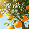 橙子熟了
