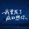 我曾经发了疯的想你(DJ 版)
