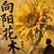 向阳花木