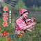 采山情歌-三步踩