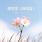 樱花草（弹唱版）