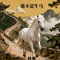 谁不是牛马(女生版)