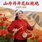 山丹丹开花红艳艳（Cover 郭兰英）