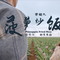 菠萝炒饭