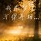 我在梦里与你再相见（花花版）（Cover 烟嗓兄弟）