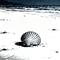 Shell On Shore