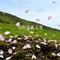 楼道里的风