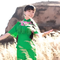 故乡（王二妮）