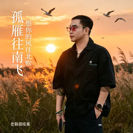 孤雁往南飞(想你的风往北吹)