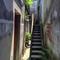 假扮的天使