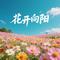 花开向阳