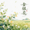 金银花