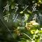 有多少爱可以重来（Cover 摩登兄弟刘宇宁）