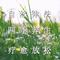 四季养生 - 八音盒轻音乐