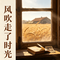 风吹走了时光（Cover 张艺迈）