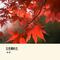 会哭的人不一定流泪  （Cover 林良乐）