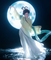 心里梦里都是你