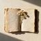 二二年