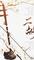 二胡（电影《大明诡事录》宣传曲）