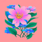 长安花