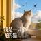 我是一只会飞的猫