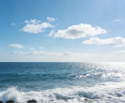 南枝渡