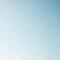 盐盐