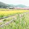 出狱后的第一口烟