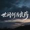 世间何为良药