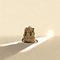 登顶