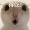 鼠鼠小曲 (猛攻小曲！！2.0)
