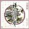 平湖秋月(古筝)