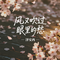 风又吹过眼里的愁（飙升版）