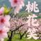 不将就（Cover 李荣浩）