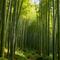 人设动物园