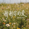 谢谢你的爱（原唱版）