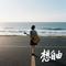 想自由（Cover 王安宇）