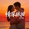 情深依旧（Cover 朱俊卫）